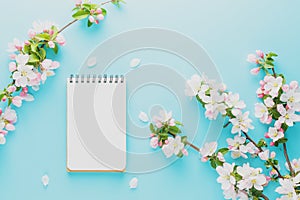 Blooming spring sakura on a blue background with notepad space for a message. Low contrast