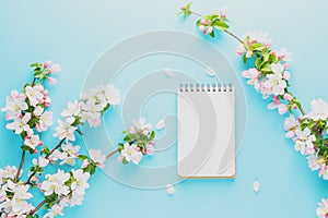 Blooming spring sakura on a blue background with notepad space for a message. Low contrast