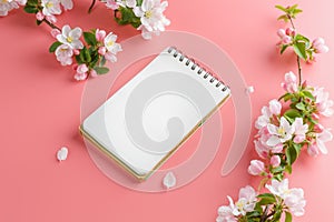 Blooming spring sakura on a pink background with notepad space for greeting message. The concept of spring and mother`s day.