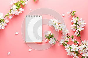 Blooming spring sakura on a pink background with notepad space for greeting message. The concept of spring and mother`s day.