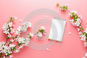 Blooming spring sakura on a pink background with notepad space for greeting message. The concept of spring and mother`s day.