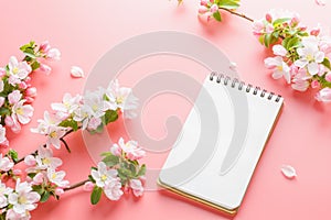 Blooming spring sakura on a pink background with notepad space for greeting message. The concept of spring and mother`s day.