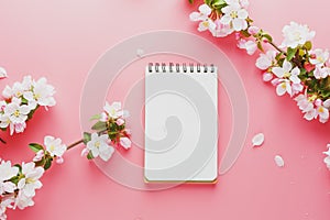 Blooming spring sakura on a pink background with notepad space for greeting message. The concept of spring and mother`s day.