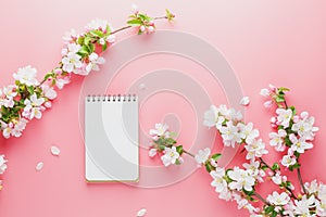 Blooming spring sakura on a pink background with notepad space for greeting message. The concept of spring and mother`s day.