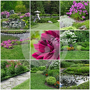 Blooming summer gardens