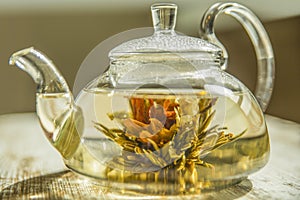 Blooming tea flower drowned in a tea jar