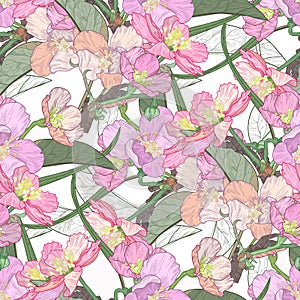 Blooming tree hand drawn illustration