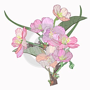 Blooming tree hand drawn vector illustration