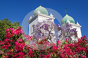 Santiago, Chile - Blooming Trees before the Towers at the Pueblito de los Dominicos photo