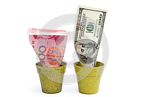 Blooming USD and fade RMB