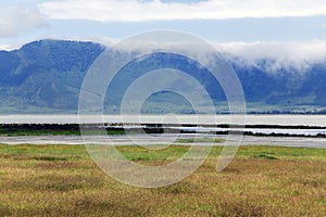 Blooming Valley in the Ngorongoro Crater Conservation Area