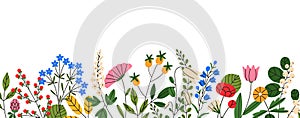 Blooming wild field flowers, decorative border. Spring floral nature decoration, banner. Blossomed meadow plants