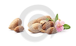 Blooms almonds nuts