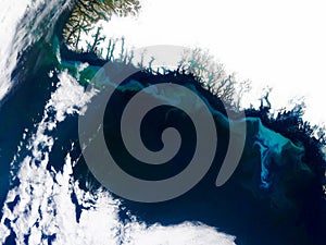 Blooms of phytoplankton on the sea surface in Greenland. Elements of this image furnished by NASA