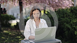 Blossom Background, Remote Relaxation, Sakura Season