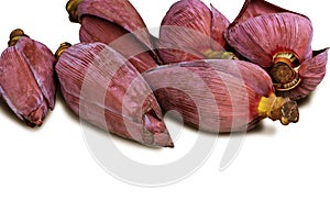 Blossom banana isolated on white background with clipping path