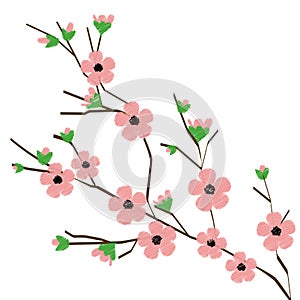 Blossom branch vector