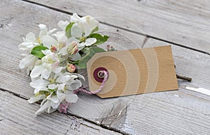 blossom branches and card with copy space on a wooden background
