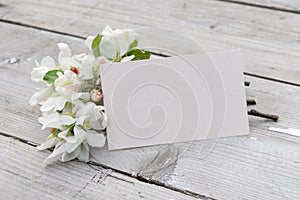 blossom branches and card with copy space on a wooden background