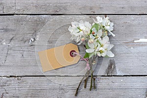 blossom branches and card with copy space on a wooden background