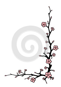 Blossom Cherry Branch