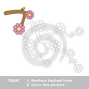 Blossom cherry branch to be colored. Vector trace game.