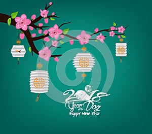 Blossom chinese new year lantern and background. Year of the dog hieroglyph Dog
