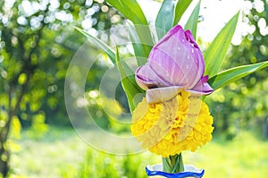 Blossom pink lotus flower bud and marigold With green leaf and water drop in vase