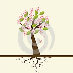 Blossom spring flower