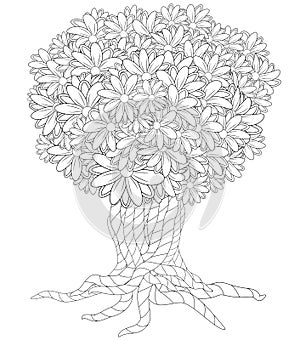 Blossom Tree. Coloring Book For Adult. Doodles For Meditation