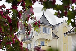 blossom with yellow house