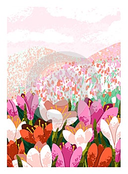 Blossomed meadow flowers card. Summer field, nature background. Spring landscape, blooming floral plants, crocus