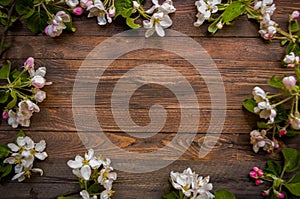 Blossoming apple tree on a wooden background, Black template