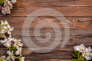 Blossoming apple tree on a wooden background, Black template