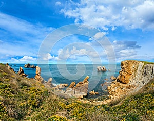 Blossoming Atlantic Ocean coastline photo