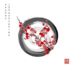 Blossoming branch of oriental cherry in black enso zen circle. Traditional oriental ink painting sumi-e, u-sin, go-hua