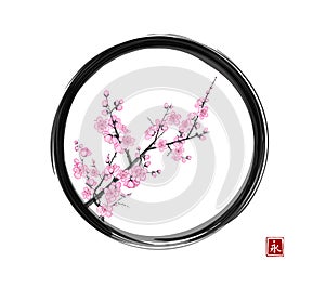 Blossoming branch of oriental cherry in black enso zen circle. Traditional oriental ink painting sumi-e, u-sin, go-hua