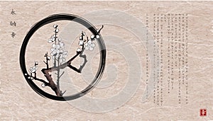 Blossoming branch of oriental sakura cherry in black enso zen circle on vintage background. Traditional Japanese ink
