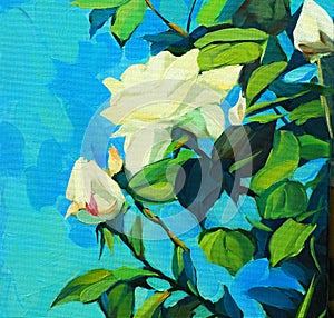 Blossoming bush of white roses
