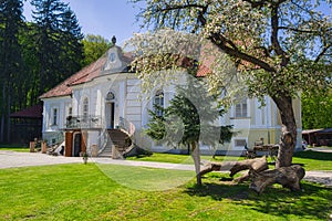 Blossoming cherry tree by Planinka hunting chateau