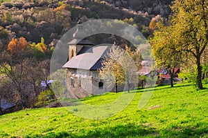 Church in Brdarka and blossoming cherry trees