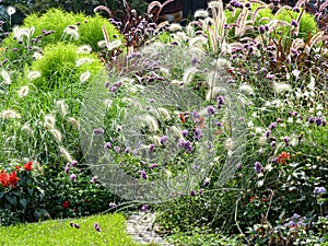 Blossoming flowerbed in autumn flower garden