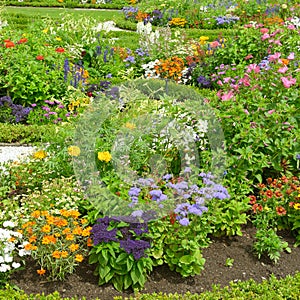 Blossoming flowerbed in the park