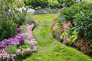 Blossoming flowerbeds with bright flowers on sunny day