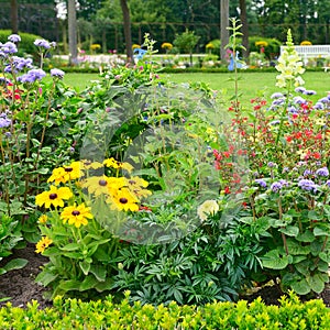 Blossoming flowerbeds