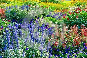 Blossoming flowerbeds photo