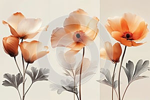 Blossoming flowers in triptych form, creating a statement piece with nature\'s simplicity and grace