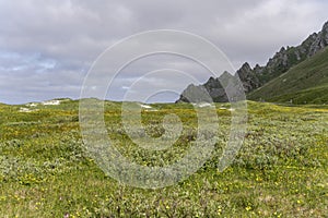 Blossoming geen meadows and steep rocks, Bleik , Norway