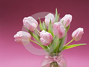 Blossoming light pink tulips, bright springtime bouquet floral card, selective focus