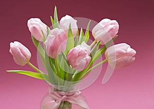 Blossoming light pink tulips, bright springtime bouquet floral card, selective focus 3